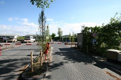 IMG_5943.JPG