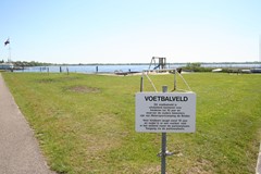 IMG_4572.JPG