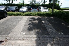 IMG_0362.JPG