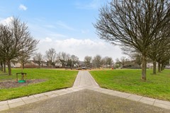 08556739_38.jpg