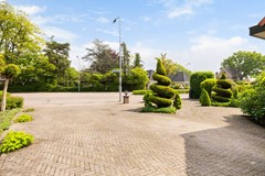 08954147_6.jpg