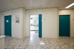 foto (7).jpg