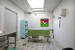 foto (11).jpg