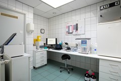 foto (13).jpg
