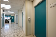 foto (28).jpg