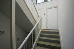 foto (21).jpg