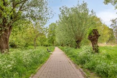 Muzenlaan342353KELeiderdorp-43.jpg