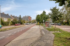 Bijdorp182352BXLeiderdorpNL-37.jpg