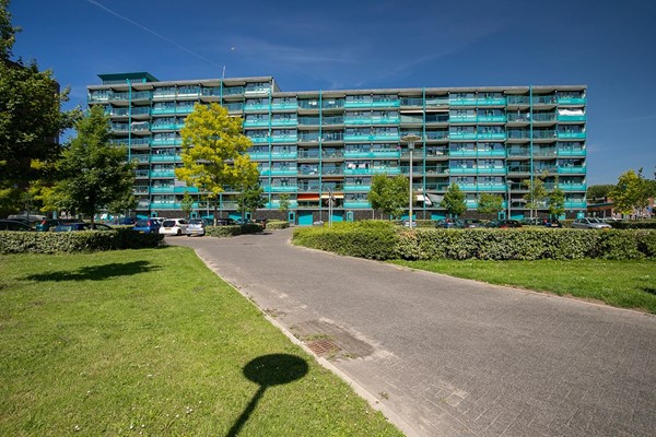 Ze denken goed met je mee en weten wat er op de markt speelt.