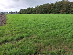 Onder bod:3e Lageveldsweg, 7645 AC Hoge Hexel - Foto