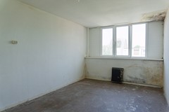 Fves2025_lr-08102.jpg