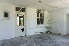 Fves2025_lr-08086.jpg
