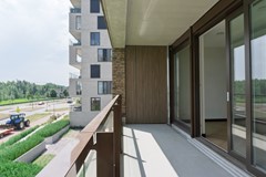 Fves2025_lr-08135.jpg