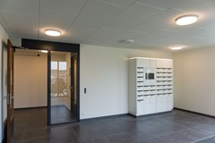 Fves2025_lr-08205.jpg
