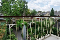 DSC08564.jpg