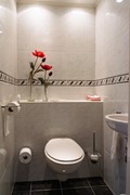 DSC08571.jpg