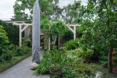 DSC08599.jpg