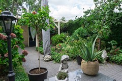 DSC08603.jpg