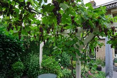 DSC08609.jpg