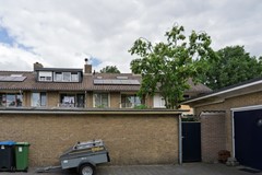 DSC08611.jpg