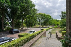 DSC08623.jpg