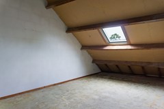 DSC08312.jpg