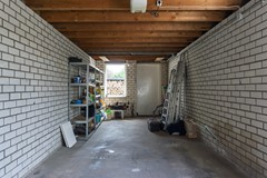 DSC08438.jpg