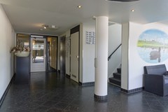 DSC08512.jpg