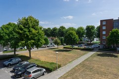 DSC08504.jpg