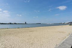 DSC08526.jpg