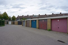 DSC08977.JPG