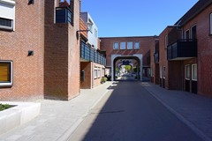 DSC01003.JPG