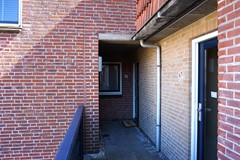 DSC01010.JPG