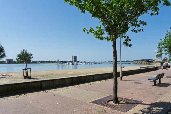Fves_2026_DSC01360-2.jpg