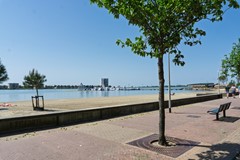 Fves_2026_DSC01360-2.jpg