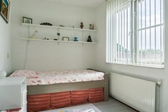DSC02420.jpg
