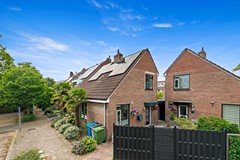 Foto_Hoefslag31_Maasland_2.jpg