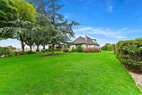 Medium property photo - Burgemeester van Doornlaan 1B, 2678 KA De Lier