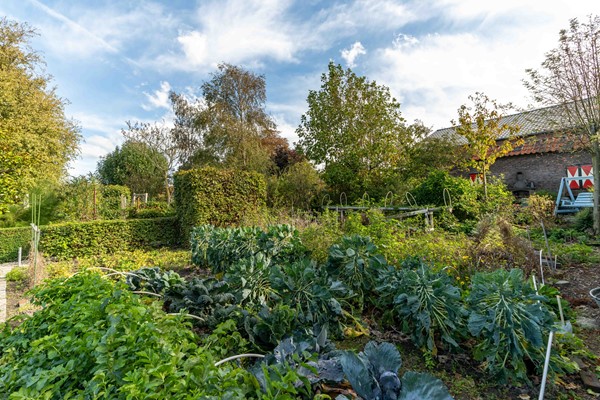 Medium property photo - Westgaag 34, 3155 DG Maasland