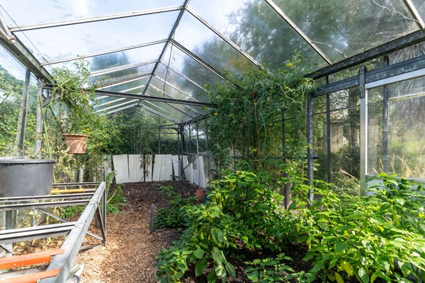 Medium property photo - Westgaag 34, 3155 DG Maasland