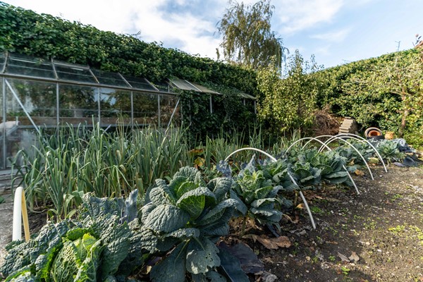 Medium property photo - Westgaag 34, 3155 DG Maasland