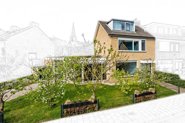 Foto_Plantage1_Maasland_2.jpg
