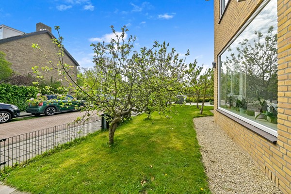 Foto_Plantage1_Maasland_7.jpg