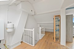 Foto_Plantage1_Maasland_55.jpg