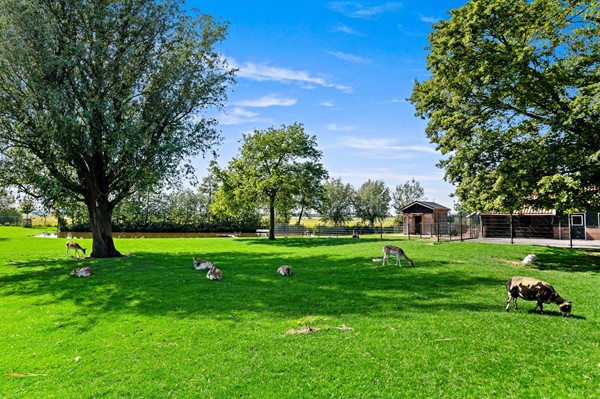 Foto_s-Prinsensingel15_Maasland_66.jpg
