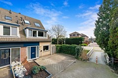 Foto_Hondsdraf17_Maasland_3.jpg