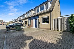 Foto_Hondsdraf17_Maasland_7.jpg