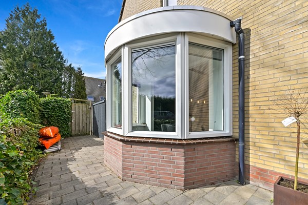 Foto_Hondsdraf17_Maasland_22.jpg