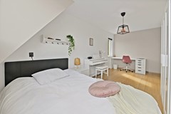Foto_Hondsdraf17_Maasland_34.jpg