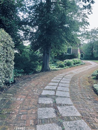 109.jpg